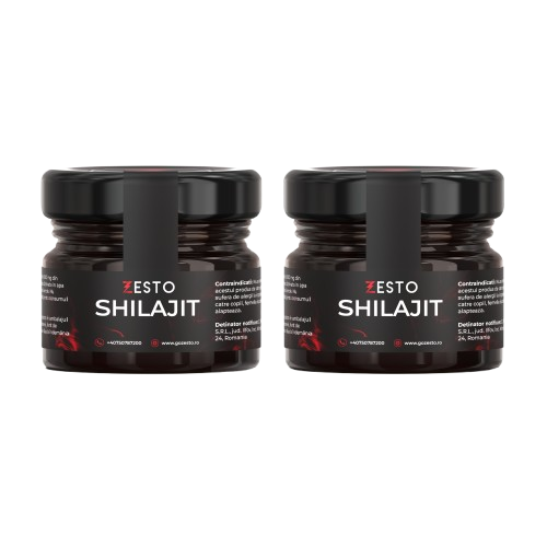 Zesto Shilajit Pure Resin — 60g | 120 Day Supply | Performance Duo Pack